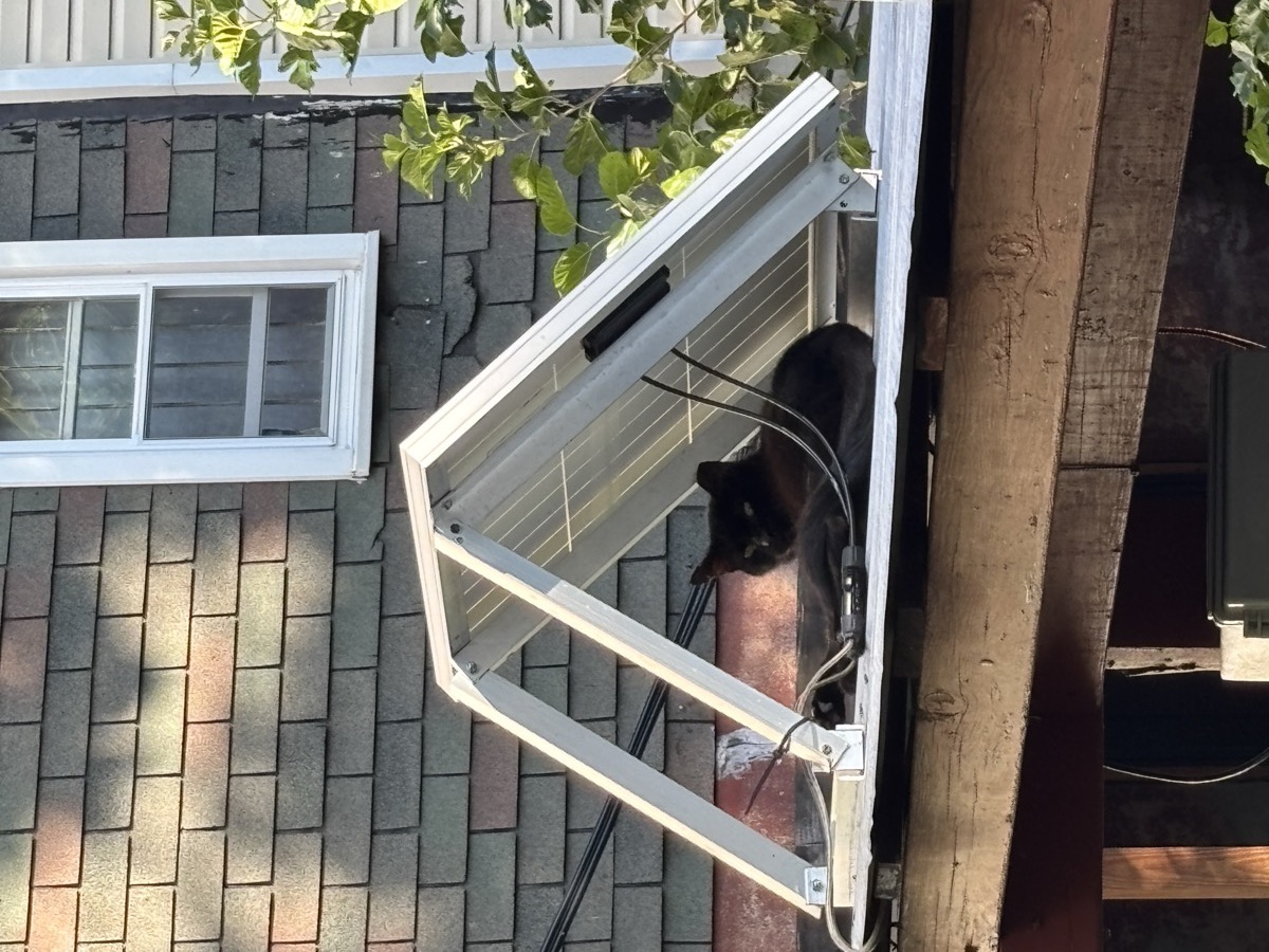 The solar panel on its angled mount at the roof edge, with the wiring running down to the enclosure